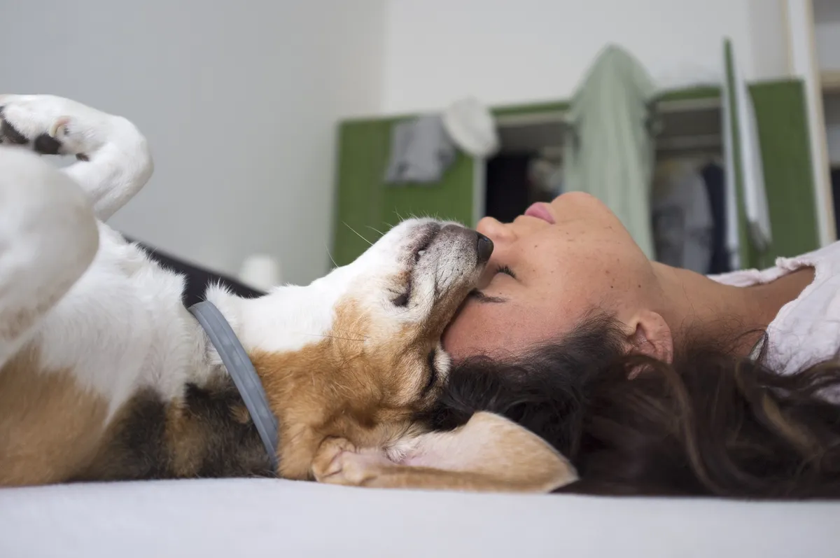 Warum Hunde die besten Freunde des Menschen sind