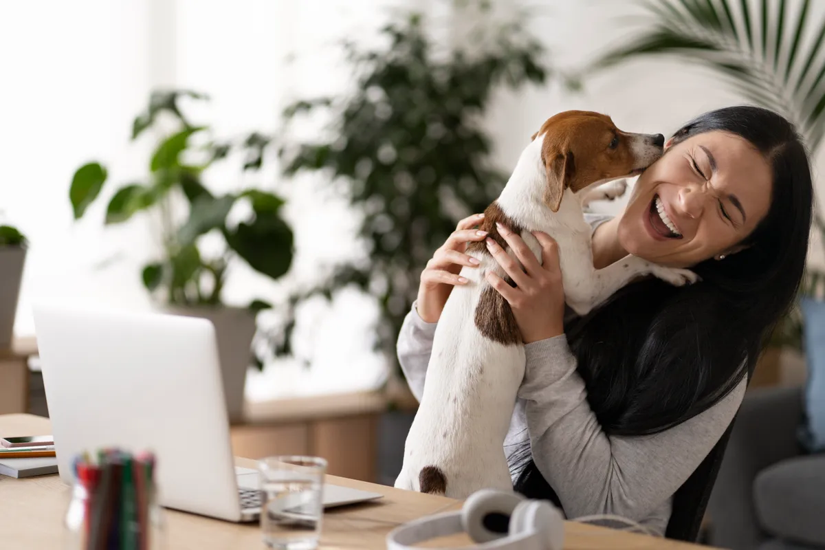 Hunde im Büro: Die perfekte Kombination von Arbeit und tierischer Liebe