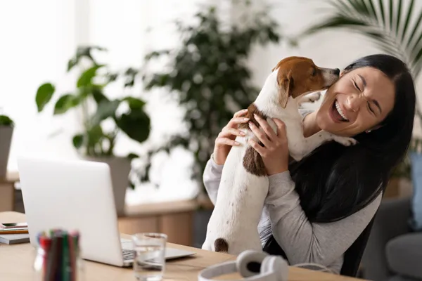 Hunde im Büro: Die perfekte Kombination von Arbeit und tierischer Liebe